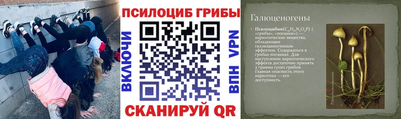 Псилоцибиновые грибы Cubensis  дарнет шоп  Циолковский 