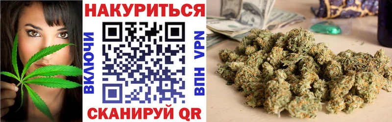 Шишки марихуана планчик  где можно купить наркотик  Циолковский 